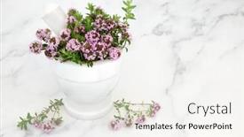  Presentation with immune - PPT theme having immune-boosting-thyme-herb background and a white colored foreground