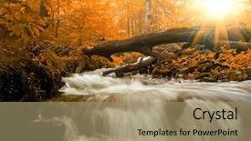  Presentation with pine trees sun shining through - Colorful presentation theme enhanced with impasse - autumn landscape with trees river backdrop and a coral colored foreground