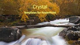  Presentation with solar tree evening landscape - Theme having impasse - autumn landscape with trees background and a tawny brown colored foreground