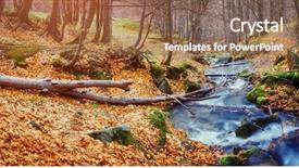  Presentation with carpet - Colorful presentation theme enhanced with impasse - fantastic carpet of yellow leaves backdrop and a coral colored foreground