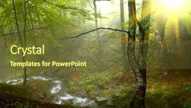  Presentation with open meetings sunshine - PPT theme with impasse - sunshine in the foggy wood background and a  colored foreground