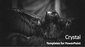  Presentation with strength - Cool new slides with imperial eagle in black backdrop and a dark gray colored foreground