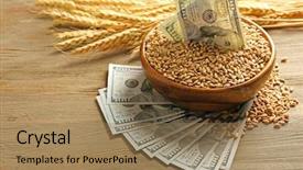  Presentation with banknotes - Presentation theme enhanced with import - dollar banknotes and wheat grains background and a coral colored foreground