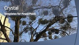  Presentation with tree - Colorful theme enhanced with importance english - mistletoe clusters clinging backdrop and a ocean colored foreground