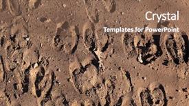  Presentation with sheep - PPT theme consisting of impression of hoof prints left background and a violet colored foreground