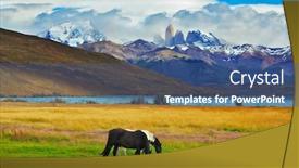  Presentation with chile - Beautiful slides featuring impressive landscape in the national park torres del paine chile lake laguna azul in the mountains on the shore of lake grazing horses backdrop and a ocean colored foreground