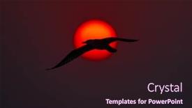  Presentation with shiny - Cool new theme with impressive-view-of-shiny-rising backdrop and a wine colored foreground