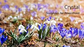  Presentation with diabetes world day - Presentation theme consisting of impressive views of the first background and a coral colored foreground