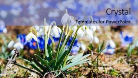  Presentation with world diabetes day - Colorful slide set enhanced with impressive views of the first backdrop and a light blue colored foreground