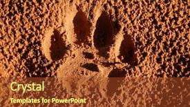  Presentation with paw - Beautiful presentation design featuring imprint of the paw backdrop and a tawny brown colored foreground