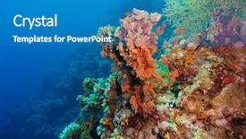  Presentation with sponges - Presentation having in a blue ocean background and a teal colored foreground