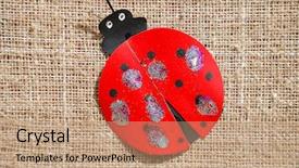  Presentation with agriculture application - Cool new presentation theme with inanimate - application of a ladybug backdrop and a coral colored foreground