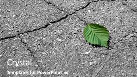  Presentation with inanimate - Presentation theme enhanced with inanimate - green leaf on cracked stone background and a  colored foreground