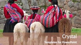  Presentation with alpacas - Colorful slide deck enhanced with incaico - peruvian girls and alpacas backdrop and a coral colored foreground
