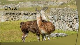  Presentation with inca machu picchu peru view - Presentation with incas ruins in the peruvian background and a coral colored foreground