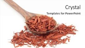  Presentation with olive - Cool new PPT layouts with teddy bear and red sock backdrop and a tawny brown colored foreground