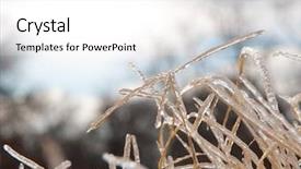  Presentation with tall - PPT layouts featuring incliment weather - tall bermuda grass covered background and a white colored foreground