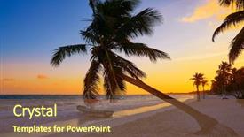  Presentation with palm tree - Theme featuring inclination - tulum beach sunset palm tree background and a  colored foreground