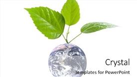  Presentation with globe - Cool new presentation with globe with leaves isolated on a white background clipping path included concept for environment conservations backdrop and a white colored foreground