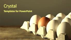  Presentation with brown - Slides consisting of inconsistent - carton of white eggs background and a tawny brown colored foreground