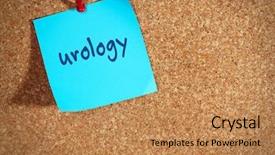  Presentation with urology - PPT layouts with incontinence - sticker on wooden background urology background and a coral colored foreground
