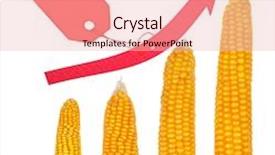  Presentation with corn - PPT layouts consisting of increase in the price background and a lemonade colored foreground