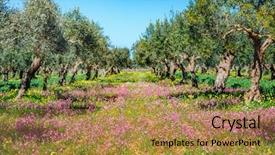  Presentation with forest fairy - Presentation theme consisting of incredible olive orchard in blossom background and a gold colored foreground