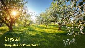  Presentation with earth day - Theme having incredible ornamental garden with blooming background and a tawny brown colored foreground