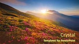  Presentation with pink flowers - PPT theme featuring incredible-pink-flowers-rhododendrons background and a tawny brown colored foreground