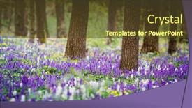  Presentation with ecology - PPT theme consisting of incredible-spring-glade-in-forest background and a tawny brown colored foreground