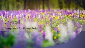  Presentation with ecology - Slide deck featuring incredible-spring-glade-in-forest background and a coral colored foreground