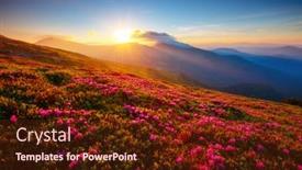  Presentation with pink beauty - PPT theme having incredible-summer-sunset-with-pink background and a tawny brown colored foreground