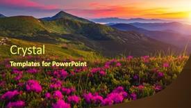  Presentation with pink beauty - Theme featuring incredible-summer-sunset-with-pink background and a tawny brown colored foreground