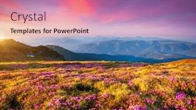  Presentation with ukraine - Slide deck with incredible-sunrise-with-blooming-rhododendrons background and a coral colored foreground