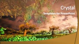  Presentation with olive - Presentation featuring incredible view of the olive background and a coral colored foreground