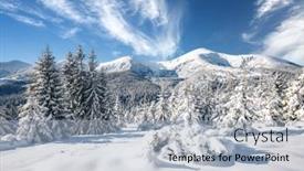 Presentation with happy new year - PPT theme having incredible-winter-spruces-in-snow background and a light blue colored foreground