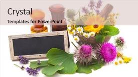  Presentation with mortar - Beautiful PPT theme featuring tincture bottles and healing herbs in mortar isolated on white background backdrop and a soft green colored foreground