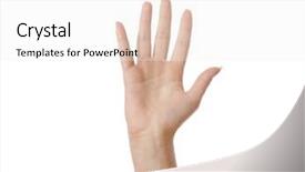  Presentation with waiter hand in white glove - Audience pleasing slide deck consisting of index finger ring finger - female hand isolated on white backdrop and a  colored foreground