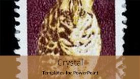  Presentation with 1970 - 