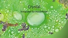  Presentation with lotus water - Theme with india free - water drop on lotus leaf background and a seafoam green colored foreground
