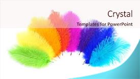 Presentation with carnival - Audience pleasing presentation design consisting of india gold - colored feathers on white background backdrop and a sky blue colored foreground