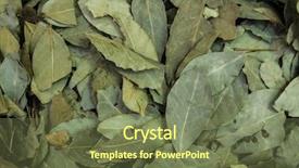  Presentation with leaves - Colorful theme enhanced with indian bazaar - bay leaves bed of bay backdrop and a tawny brown colored foreground