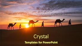  Presentation with camel caravan - Cool new PPT theme with indian-cameleers-camel-driver-bedouin backdrop and a wine colored foreground