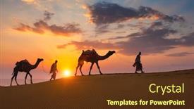  Presentation with camel caravan - Amazing theme having indian-cameleers-camel-driver-bedouin backdrop and a tawny brown colored foreground