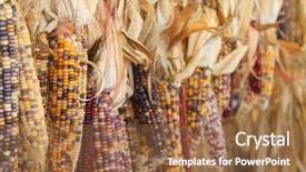  Presentation with native indian - PPT theme enhanced with indian corn background and a tawny brown colored foreground