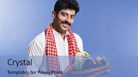  Presentation with vegetables - Amazing presentation theme having irish wolfhound dog two years backdrop and a light gray colored foreground