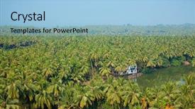  Presentation with jungle - Cool new PPT theme with indian jungle landscape high top backdrop and a light blue colored foreground