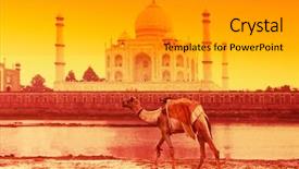  Presentation with taj mahal - Slides with indian monuments - camel in front background and a gray colored foreground