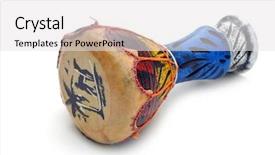  Presentation with classical music - Theme featuring indian music classical - bongo drum from tunisia background and a white colored foreground