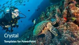  Presentation with sea - PPT layouts featuring indian ocean - woman scuba diver exploring sea background and a ocean colored foreground